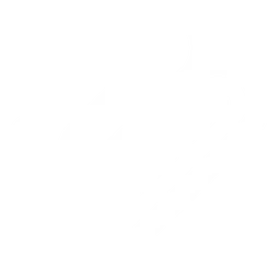 MCP Logo